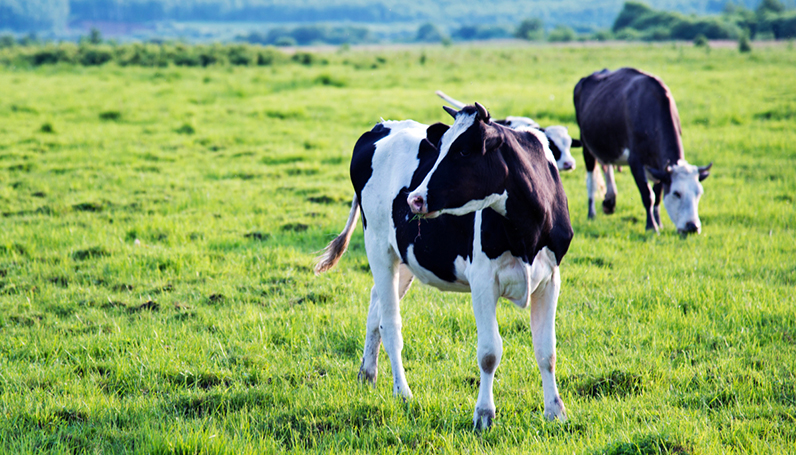 �й������Ӽ���(galaxy)���޹�˾-�ٷ���վ